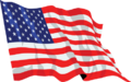 United States flag waving icon