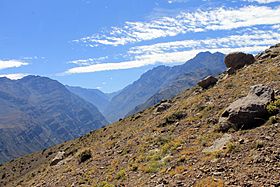 Vista rio Colorado (30610201965).jpg