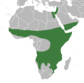 Zasieg ficus sycomorus distribution