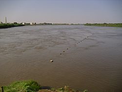 Archivo:Zusammenfluss der Nile