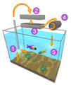 Aquarium