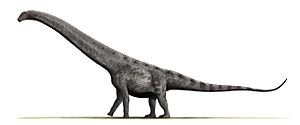 Archivo:Argentinosaurus BW