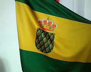Archivo:Bandera de Navalperal de Pinares