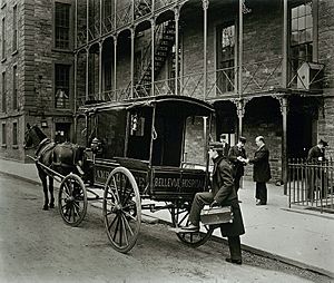 Archivo:Bellevue Hospital Ambulance, New York Times, 1895