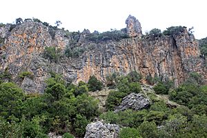 Archivo:Benahavis climbing - panoramio (2)