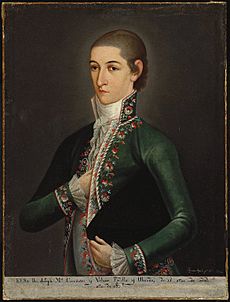 Archivo:Brooklyn Museum - Don José María (Gómez de) Cervantes y Altamirano de Velasco - Ignacio Ayala - overall