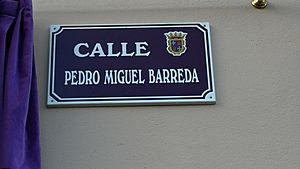 Archivo:Calle Pedro Miguel Barreda