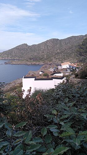 Casa Girasol.jpg