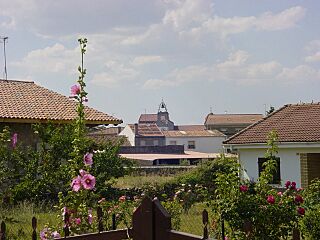 Casillas de Flores El pueblo.jpg
