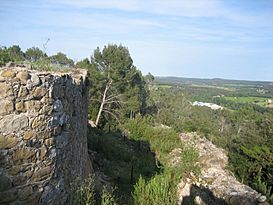 Castell d'Esponellà - ruïnes.jpg