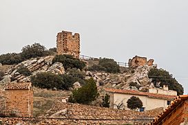 Castillo de Berrueco, Zaragoza, España, 2017-01-04, DD 13.jpg