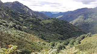 Castro de La Caimada.jpg