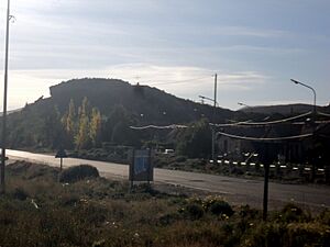 Archivo:Cerrillo diadema