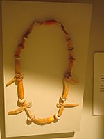 Archivo:Collar de conchas. Nicoya. Museo del Jade. Costa Rica