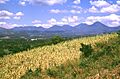 Cordillera de Apaneca