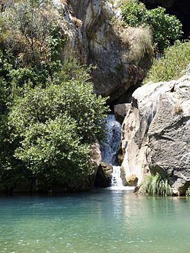 Cueva del gato peligro!.jpg