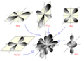 D orbitals