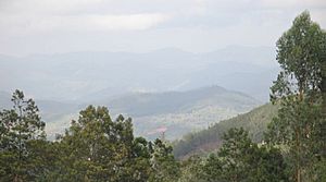 Archivo:Doddabetta view