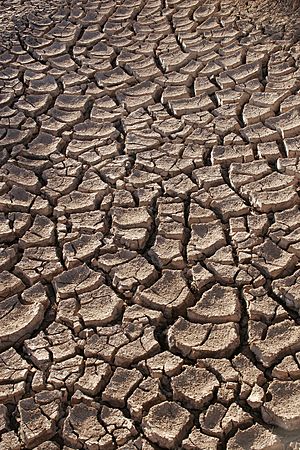 Archivo:Drought