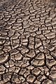 Drought