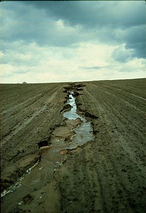 Archivo:Eroding rill in field in eastern Germany
