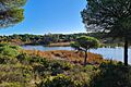 Estero Domingo Rubio