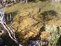 Heathcote National Park stream 2.1