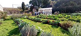 Archivo:Huerta agroecológica comunitaria
