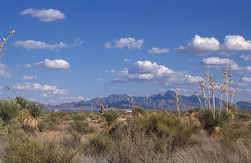 Jornada Experimental Range