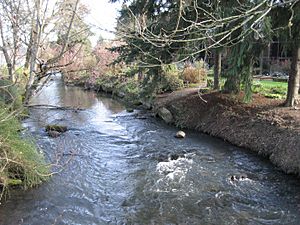 Archivo:Martha Springer Botanical Garden - Willamette University