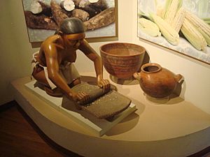 Archivo:Metate nicoyano. Museo del Jade. Costa Rica