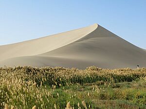 Archivo:Mingsha Sand Dunes (40098545980)