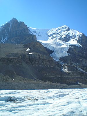 Archivo:Mount Andromeda-Athabasca Glacier