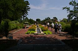 Archivo:NorfolkBotanicalGardenPerennial