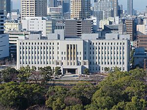 Archivo:Osaka Prefectural Government Main Building view from Osaka Castle