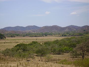 Pampa Guanacasteca