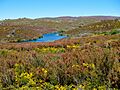 Parque Natural de Montesinho Porto Furado trail (5733160672)