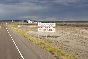 Archivo:Publicidad sobre la Fiesta Nacional del Salmón, en el empalme de la Ruta Nacional 3 con la Ruta Provincial 30, a 74 km de Camarones