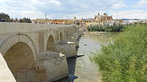 Archivo:Puente Romano, Córdoba, Andalucía, España - panoramio