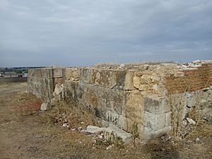 Archivo:Restos de la antigua Iglesia de Florida de Liébana