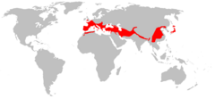 Mapa de distribución de Rhinolopus ferrumequinum.