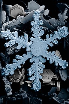 Archivo:Snow crystals 2b