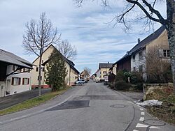 Strassenansicht Roggenburg BL.jpg