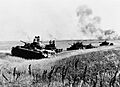 The German Advance on Stalingrad September 1942 HU5163