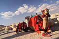 Tourist camels, Palmyra, Syria