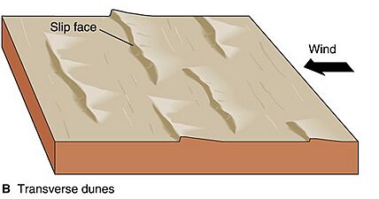 Tranverse dune