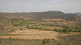 Vista de las Hoces del río Jalón, Embid de la Ribera, España 2012-05-19, DD 03