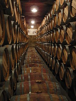 Archivo:Wine barrels in La Rioja