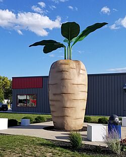 World's largest sugar beet, Halstad, Minnesota.jpg