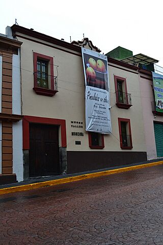 06558 Museo Taller Nishizawa.jpg